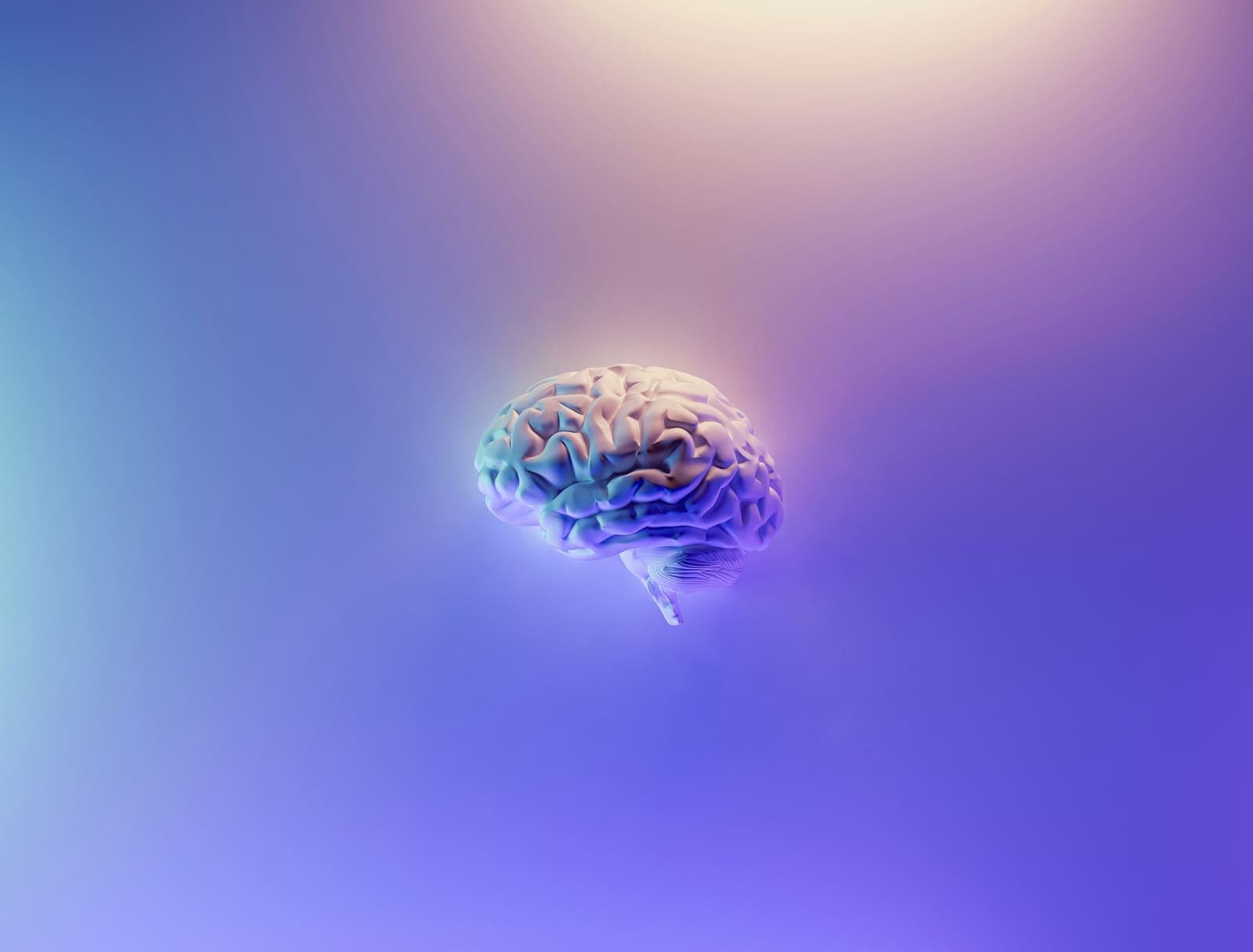 3D render of a glowing brain